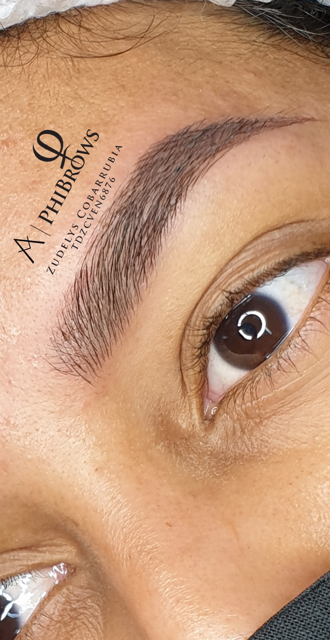 Cejas y Pestañas Zudelys