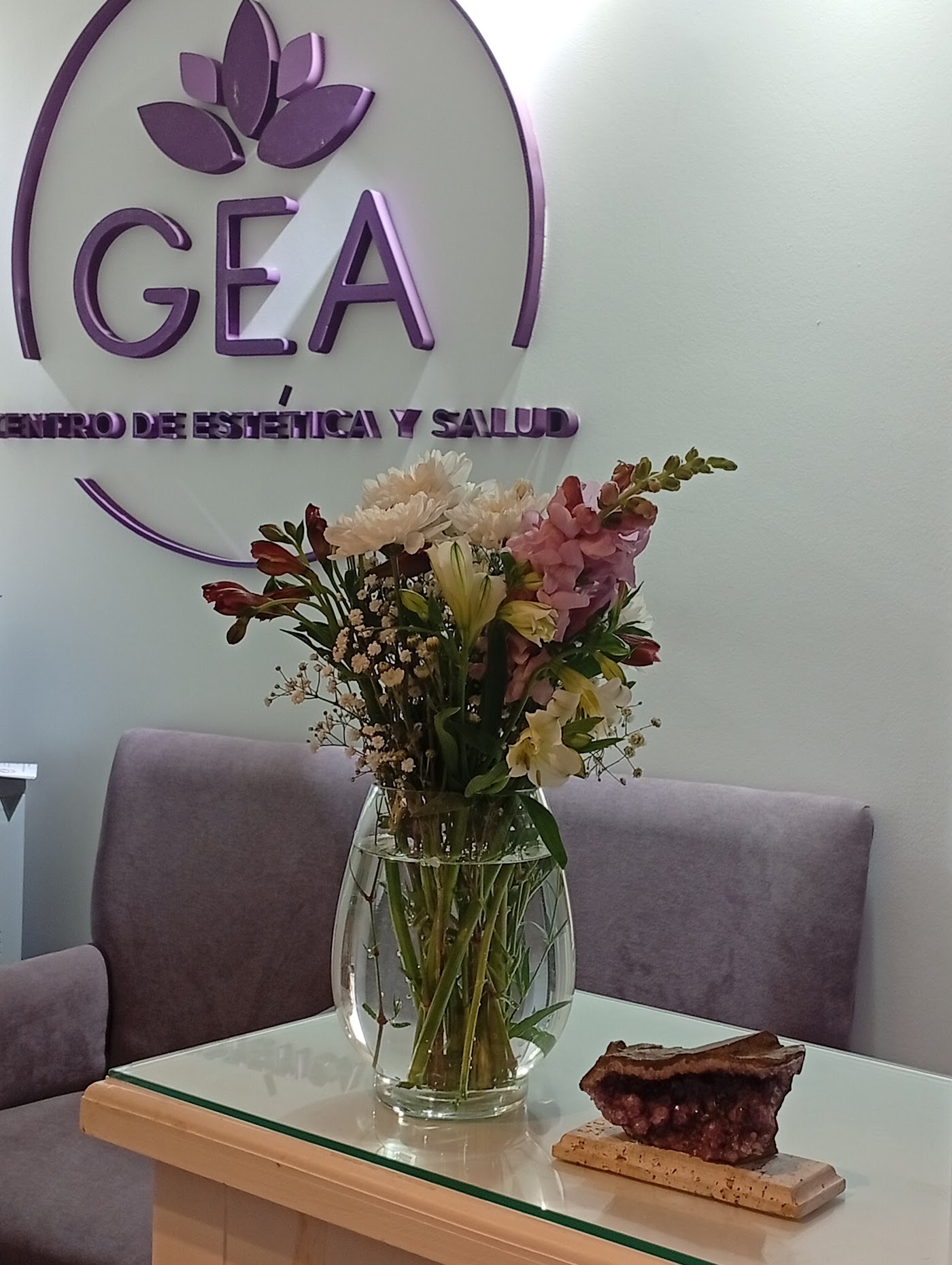 GEA ESTETICA Y SALUD
